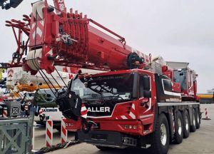 25050003 Kopie 25050003 Kopie