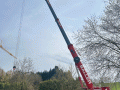 26040009